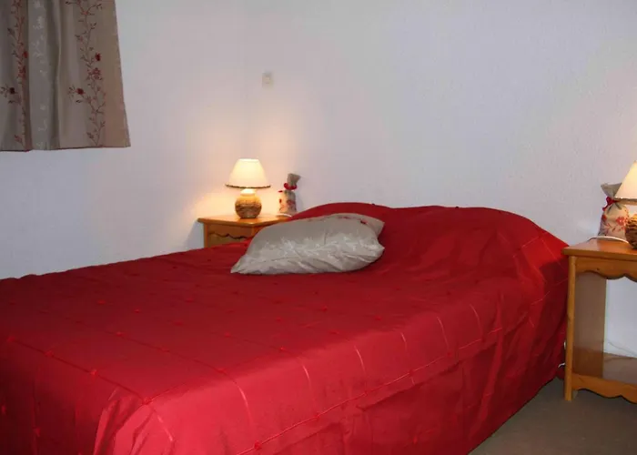 Pour 10 Pers. A Plagne Soleil Avec Animaux Admis - Fr-1-351-82 La Plagne