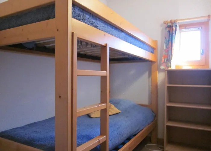 Pour 10 Pers. A Plagne Soleil Avec Animaux Admis - Fr-1-351-82 *